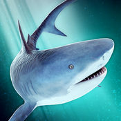 海洋 鲨鱼 危险 水族箱 世界 冒险 游戏